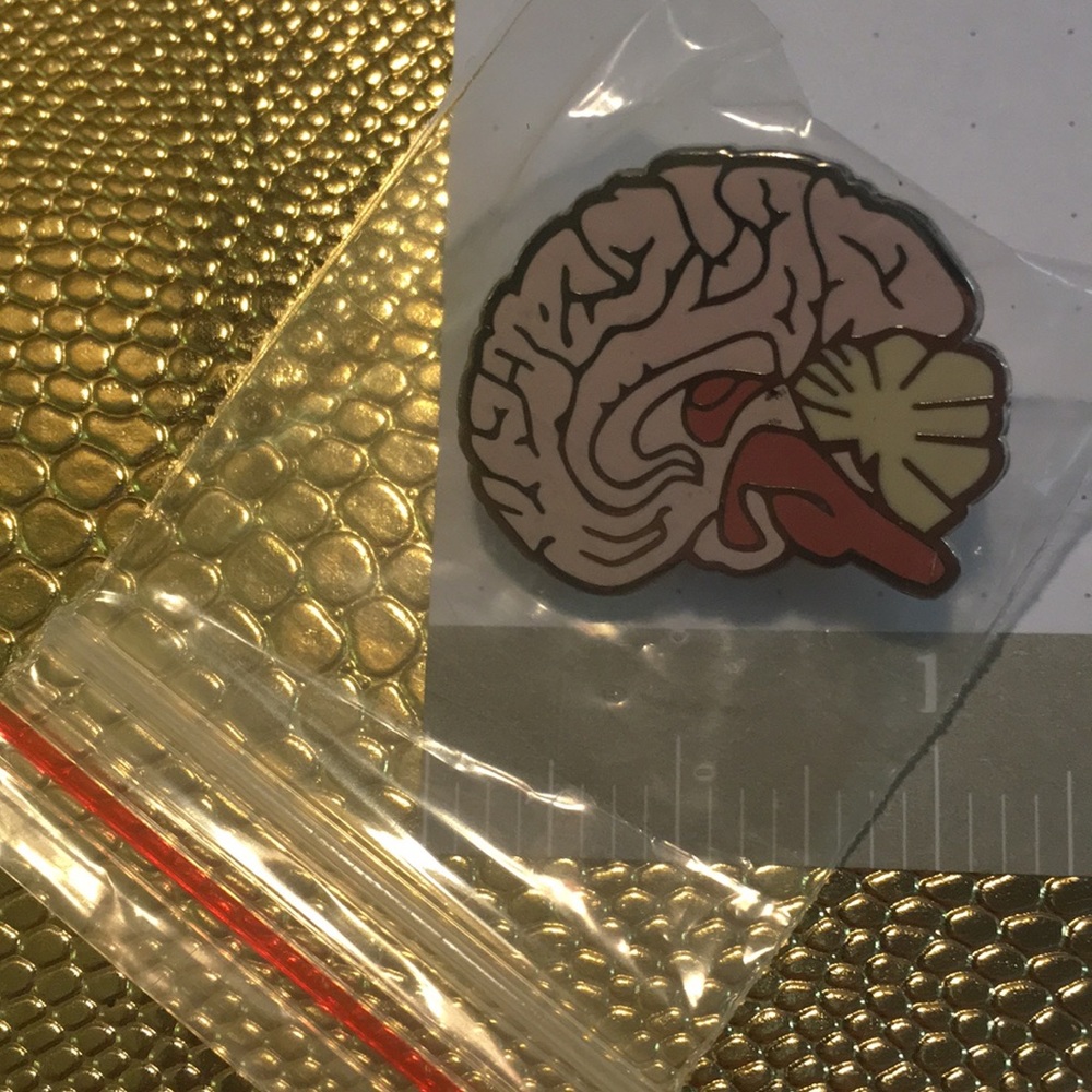 Anatomical brain enamel & gold metal pin NWB - Picture 3 of 6